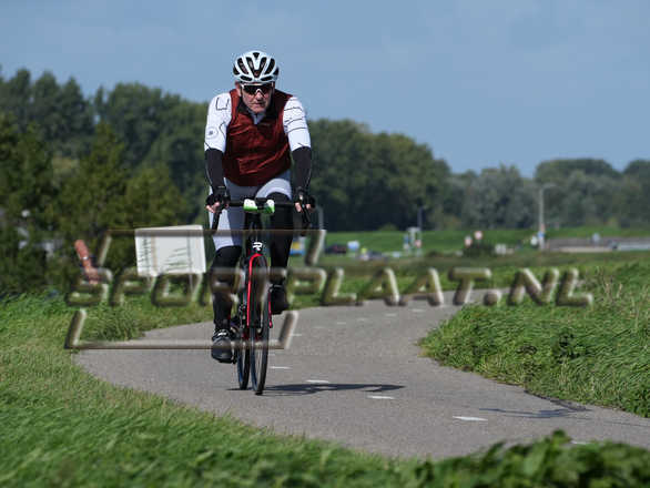 D7001.jpg